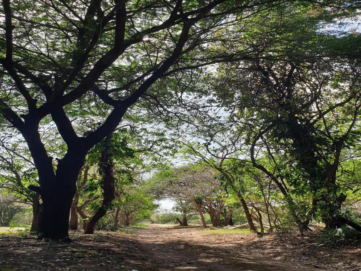 Pumusa Bushcamp Hluhluwe Esterno foto