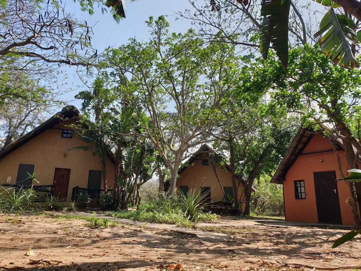 Pumusa Bushcamp Hluhluwe Esterno foto