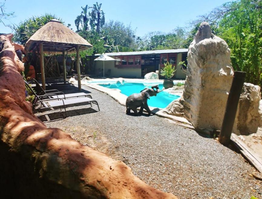 Pumusa Bushcamp Hluhluwe Esterno foto