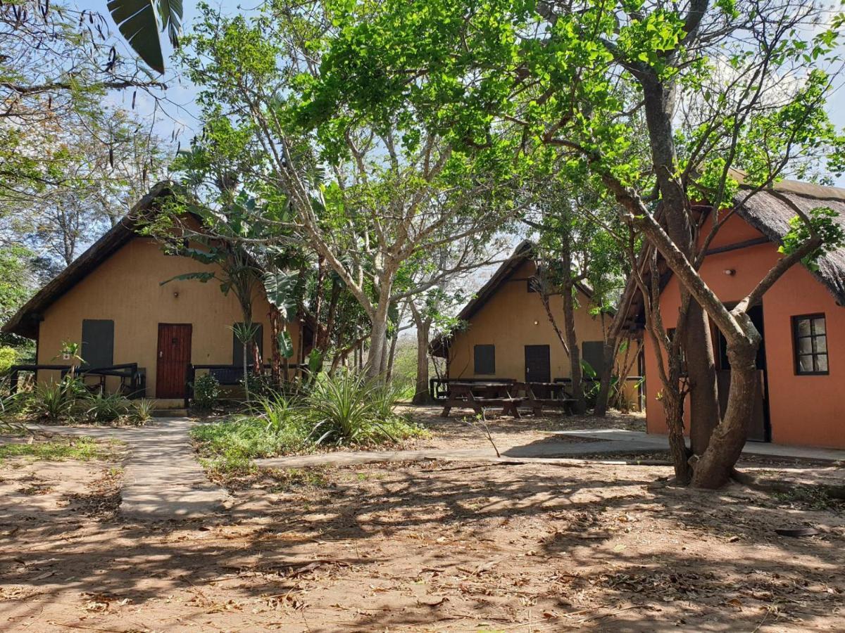 Pumusa Bushcamp Hluhluwe Esterno foto